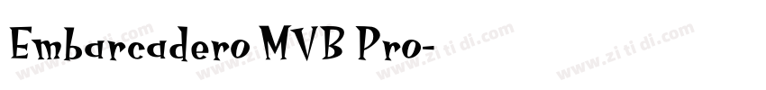 Embarcadero MVB Pro字体转换